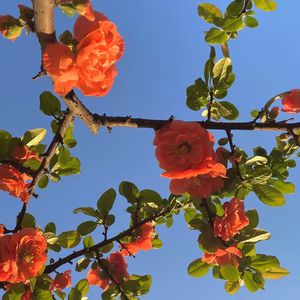 国产做受❌❌❌蜜臀777cos按摩黄色电影
